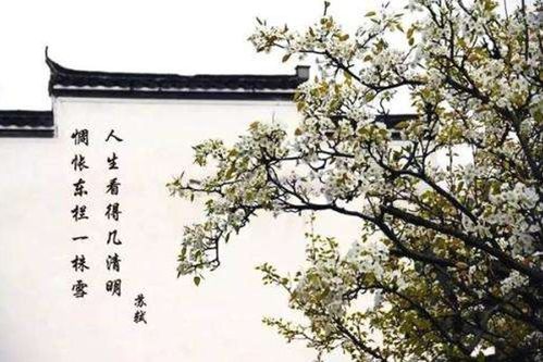 與蘇軾有關的典故