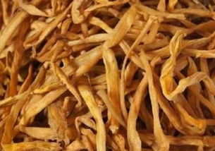 黃花菜涼了的典故是什么,黃花菜都涼了的典故出自哪里,黃花菜都涼了的典故和意思