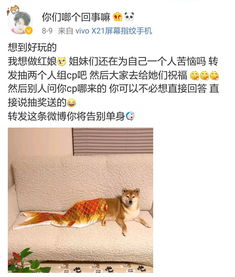 授人以魚的典故