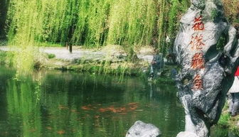 湖魚(yú)的典故