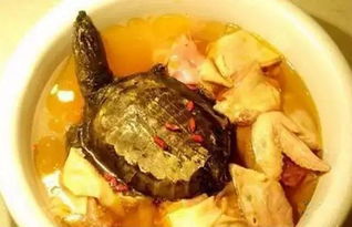 霸王別姬菜的典故