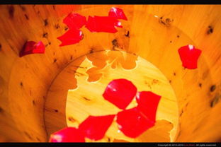 有關(guān)秦國(guó)的典故,有關(guān)周朝的典故,不服周的典故