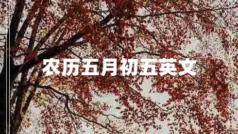 農(nóng)歷五月初五英文