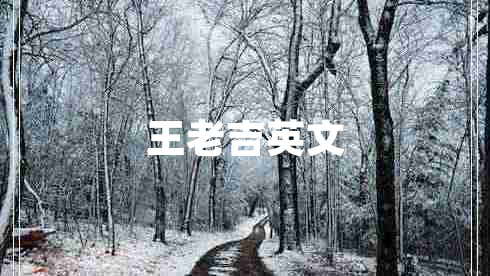王老吉英文