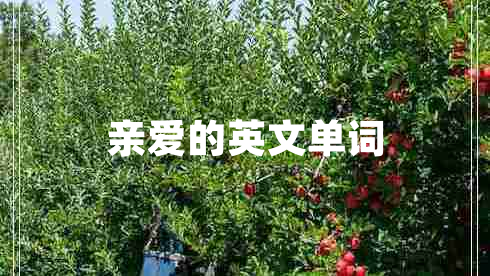 親愛的英文單詞