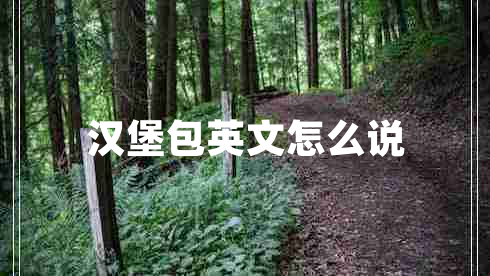 漢堡包英文怎么說(shuō)