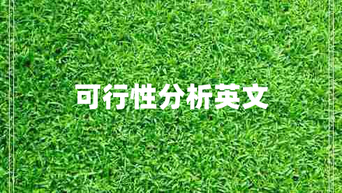 可行性分析英文