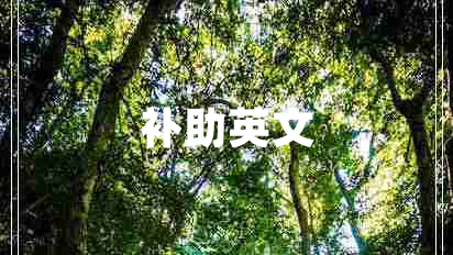 補(bǔ)助英文