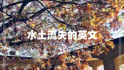 水土流失的英文