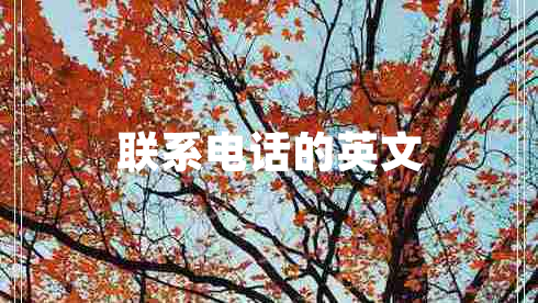 聯(lián)系電話的英文