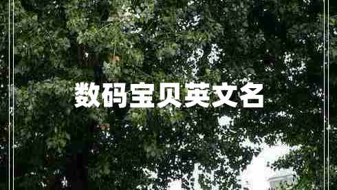 數(shù)碼寶貝英文名