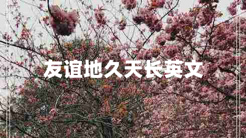 友誼地久天長英文