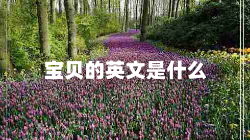 寶貝的英文是什么