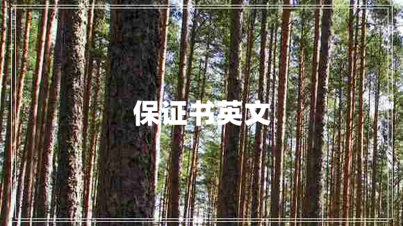 保證書英文