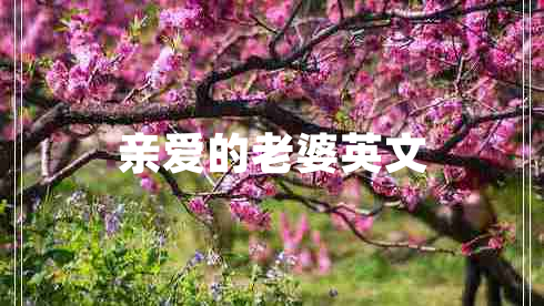 親愛(ài)的老婆英文