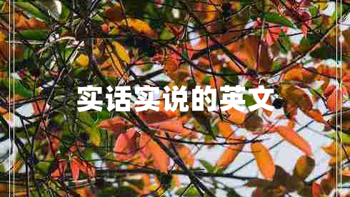 實(shí)話實(shí)說(shuō)的英文