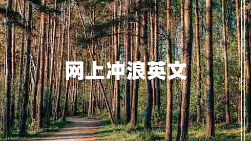 網(wǎng)上沖浪英文