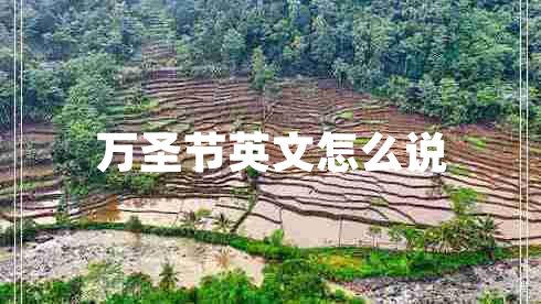 萬圣節(jié)英文怎么說