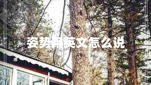 姿勢用英文怎么說