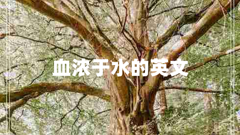 血濃于水的英文