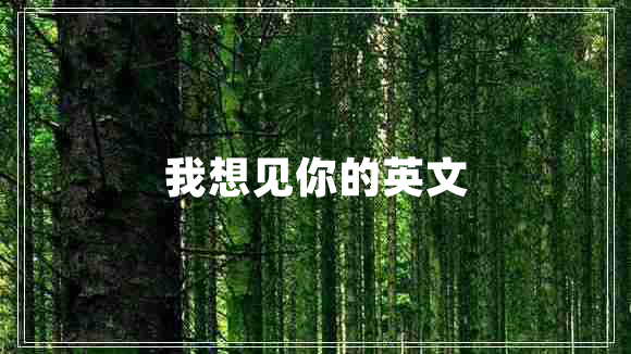 我想見你的英文