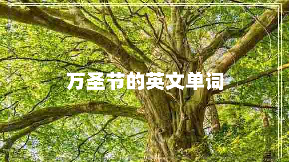 萬圣節(jié)的英文單詞