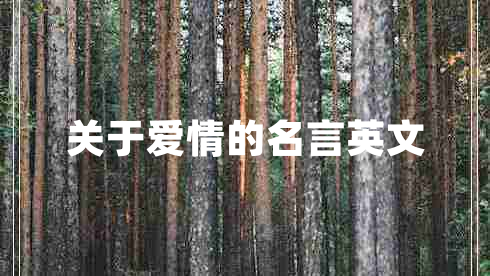 關(guān)于愛情的名言英文