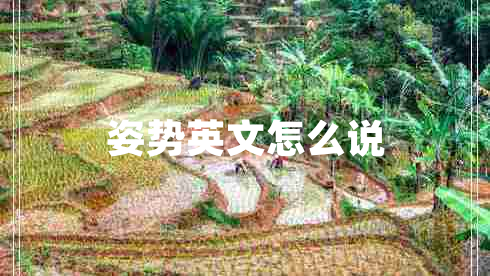 姿勢(shì)英文怎么說(shuō)