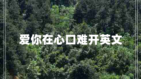 愛(ài)你在心口難開(kāi)英文