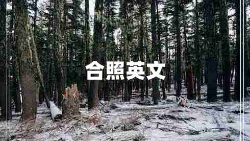 合照英文