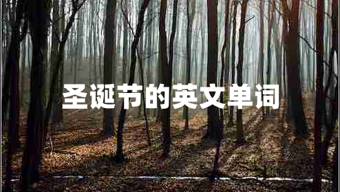 圣誕節(jié)的英文單詞
