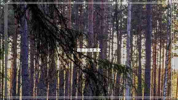 規(guī)章制度英文