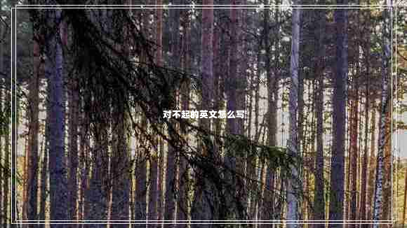 對不起的英文怎么寫