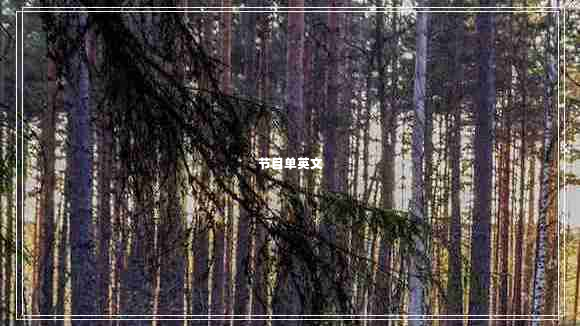 節(jié)目單英文