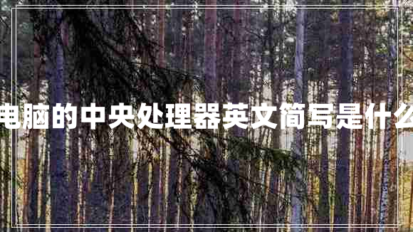 電腦的中央處理器英文簡寫是什么