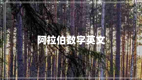 阿拉伯?dāng)?shù)字英文