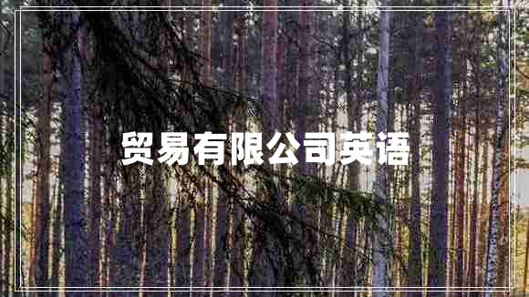 貿(mào)易有限公司英語(yǔ)