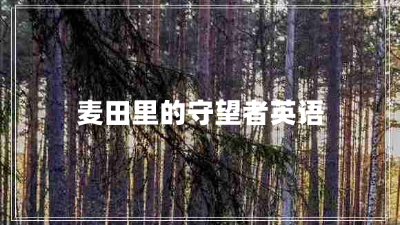 麥田里的守望者英語