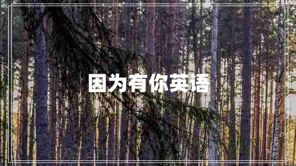 因?yàn)橛心阌⒄Z