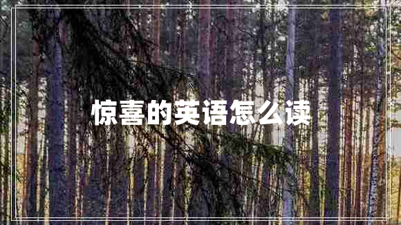 驚喜的英語(yǔ)怎么讀