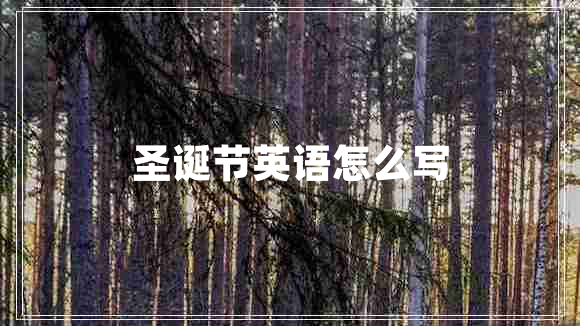 圣誕節(jié)英語(yǔ)怎么寫
