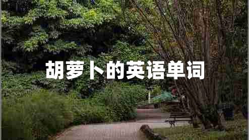 胡蘿卜的英語單詞