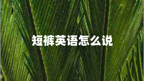 短褲英語怎么說