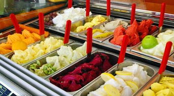 冰淇淋創(chuàng)業(yè)策劃方案