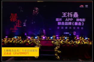 大型公益晚會(huì)策劃方案