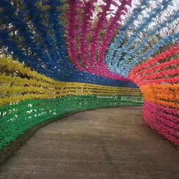 大型風(fēng)車節(jié)策劃方案書