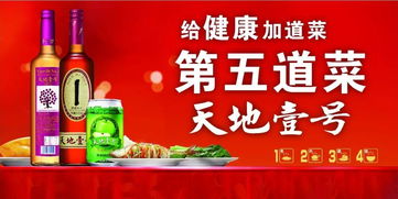 天地壹號(hào)策劃書(shū)方案封面