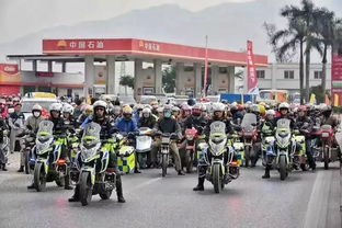 春節(jié)暖流行動(dòng)策劃方案