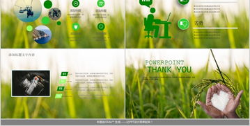 大米營(yíng)銷策劃方案ppt