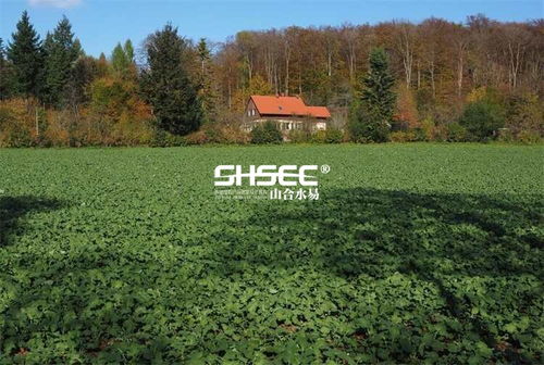 休閑農(nóng)業(yè)項目策劃方案